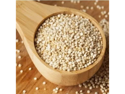 Semilla de Quinoa