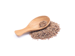 Semilla de Psyllium