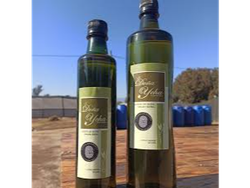 Aceite de oliva Doña Ycha x 1 lt