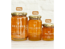 Miel Pura Delibee Flores de Naranja 250 gr