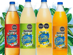 Agua saborizada 500ml