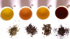 HIERBAS Y TE NATURALES