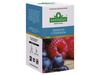 Té Saint Gottard En Saquitos Blueberry Y Raspberry 20 Un