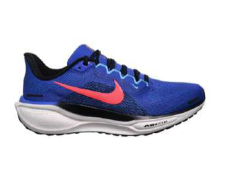 Nike Pegasus 41