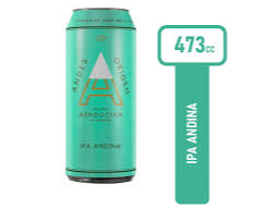 ANDES IPA 473