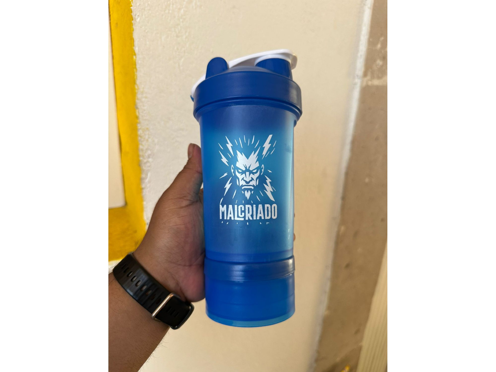 SHAKER PARA GYM