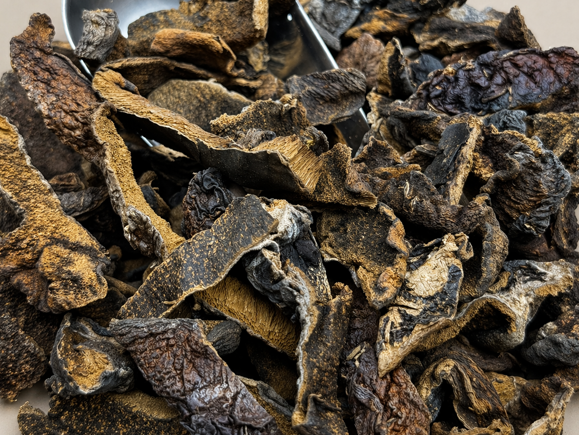 Hongos de pino 150 GR