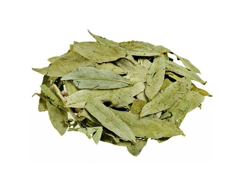 Hojas de sen 100 GR