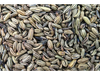 Hinojo 100 GR