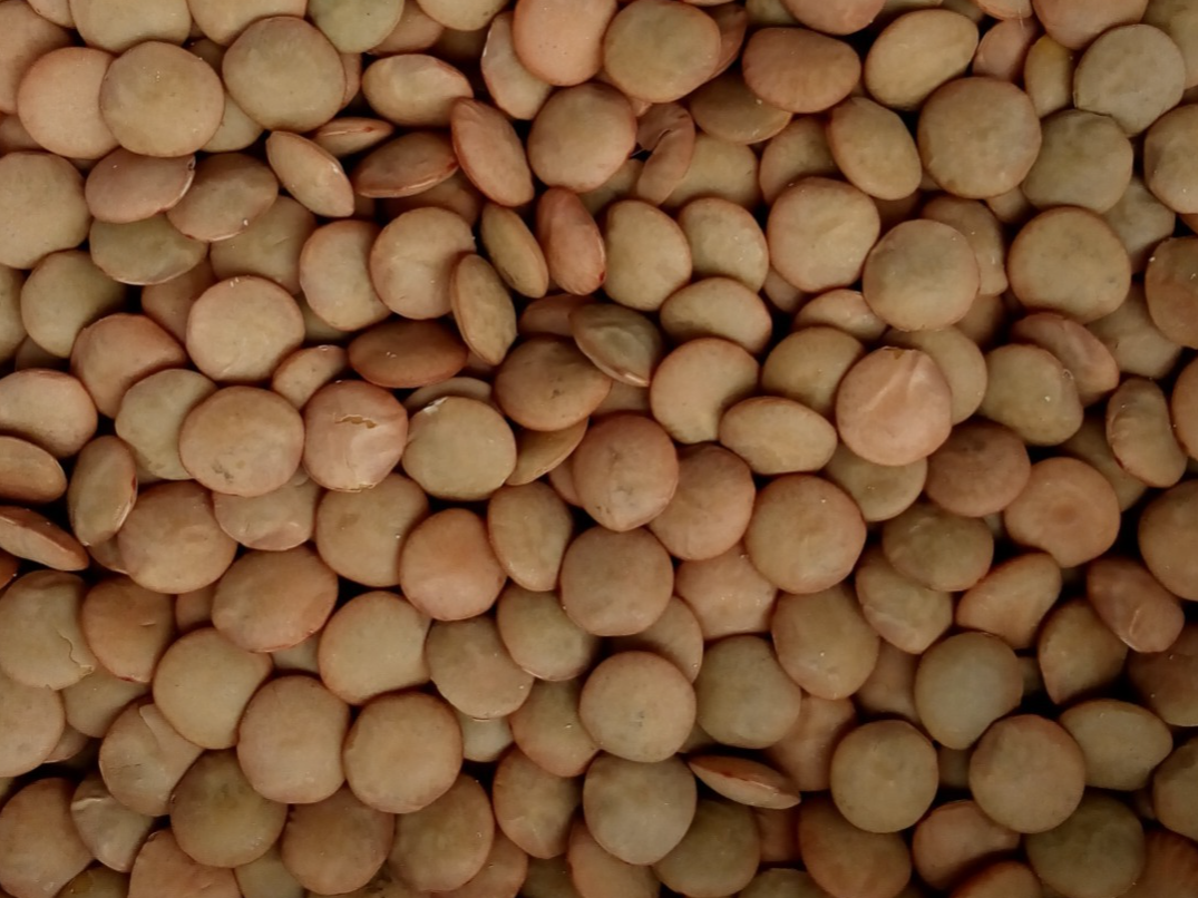 Lentejon 500 GR