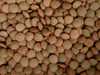 Lentejon 500 GR