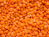 Lenteja Turca 250 GR