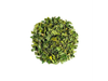 Moringa 50 GR