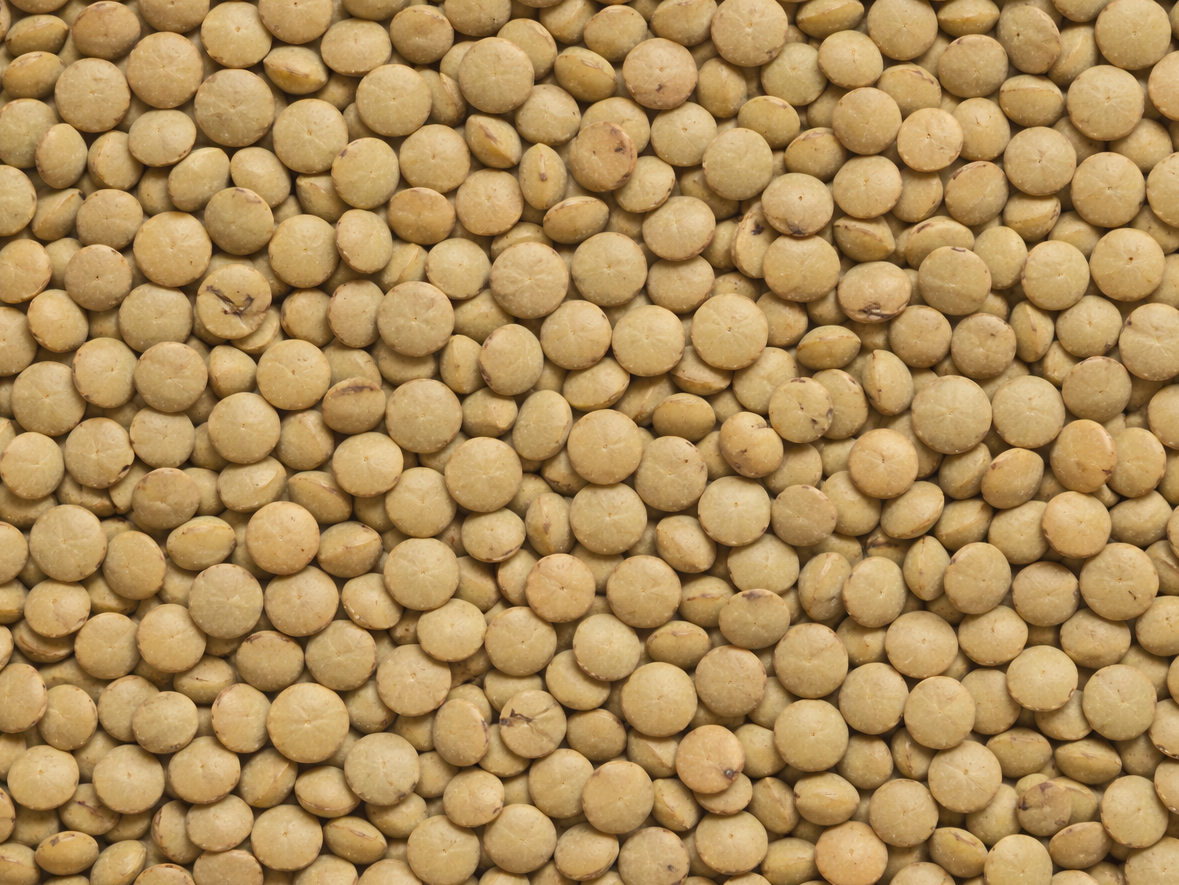 Lenteja 500 GR