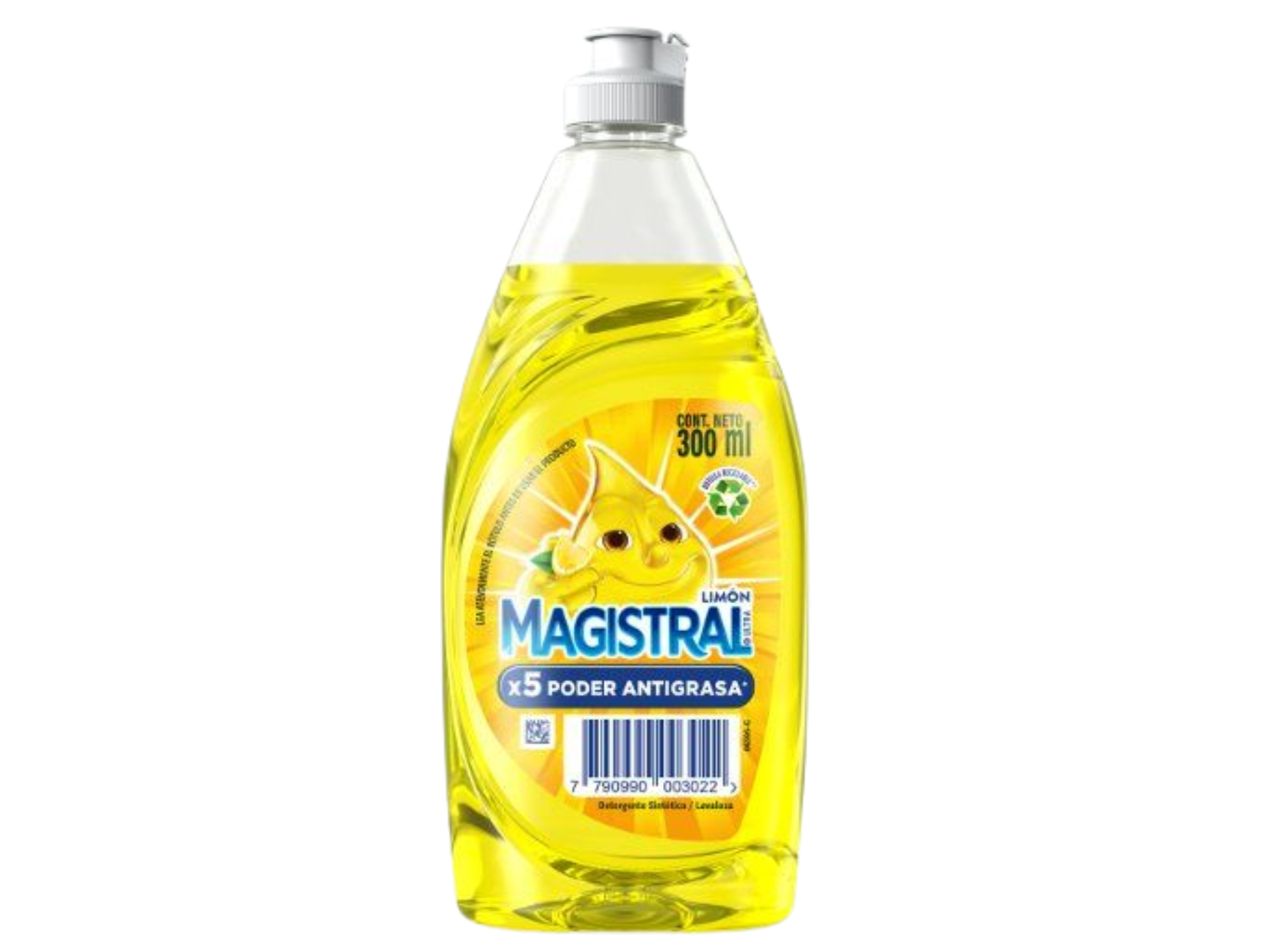 DETERGENTE MAGISTRAL X300