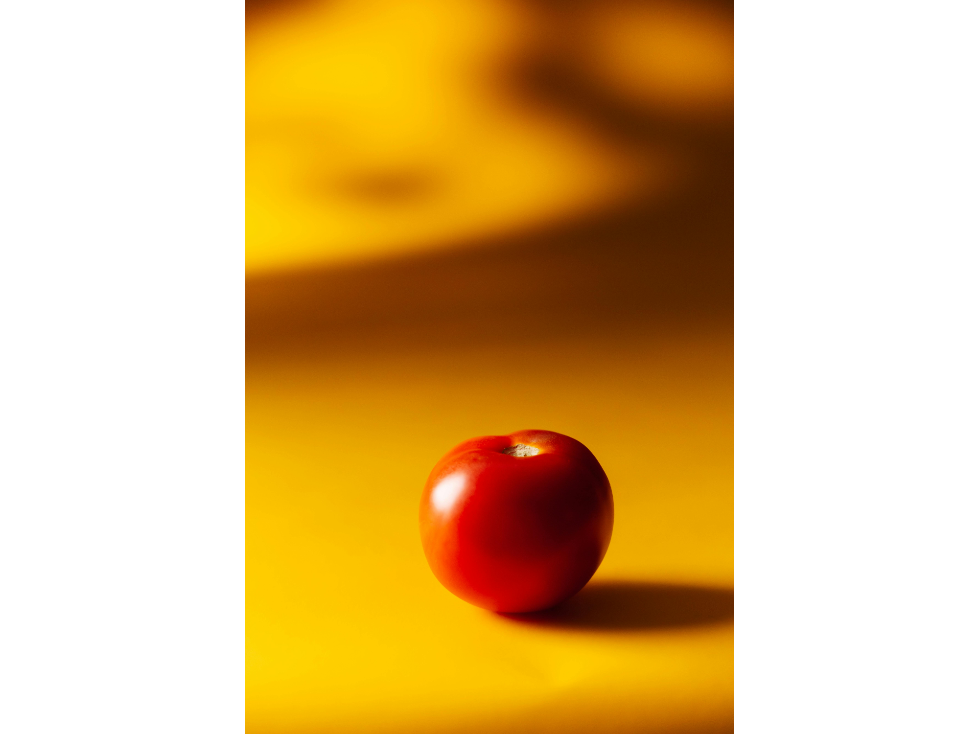 TOMATE REDONDO
