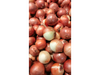 CEBOLLA