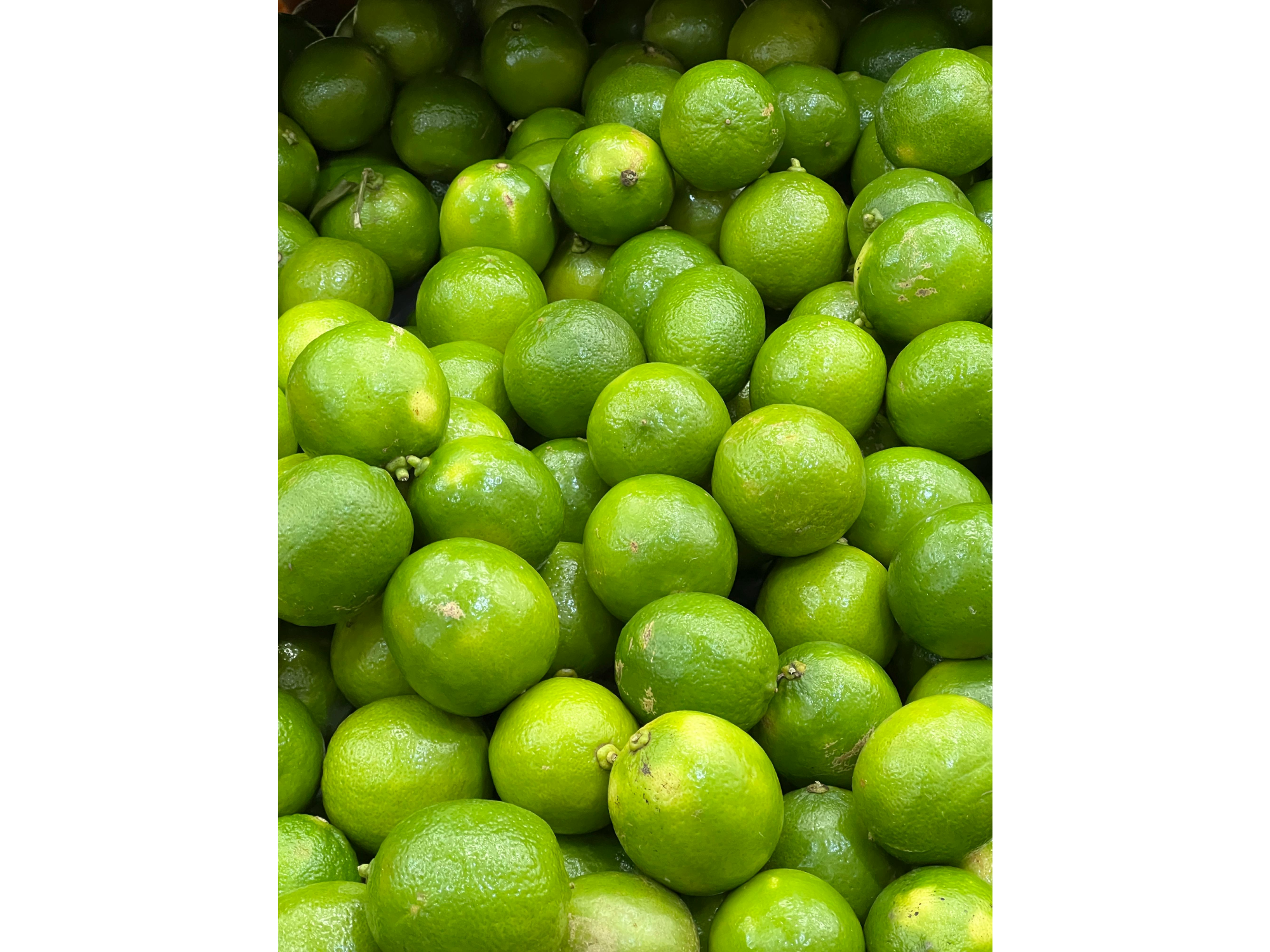 LIMA