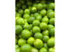 LIMA