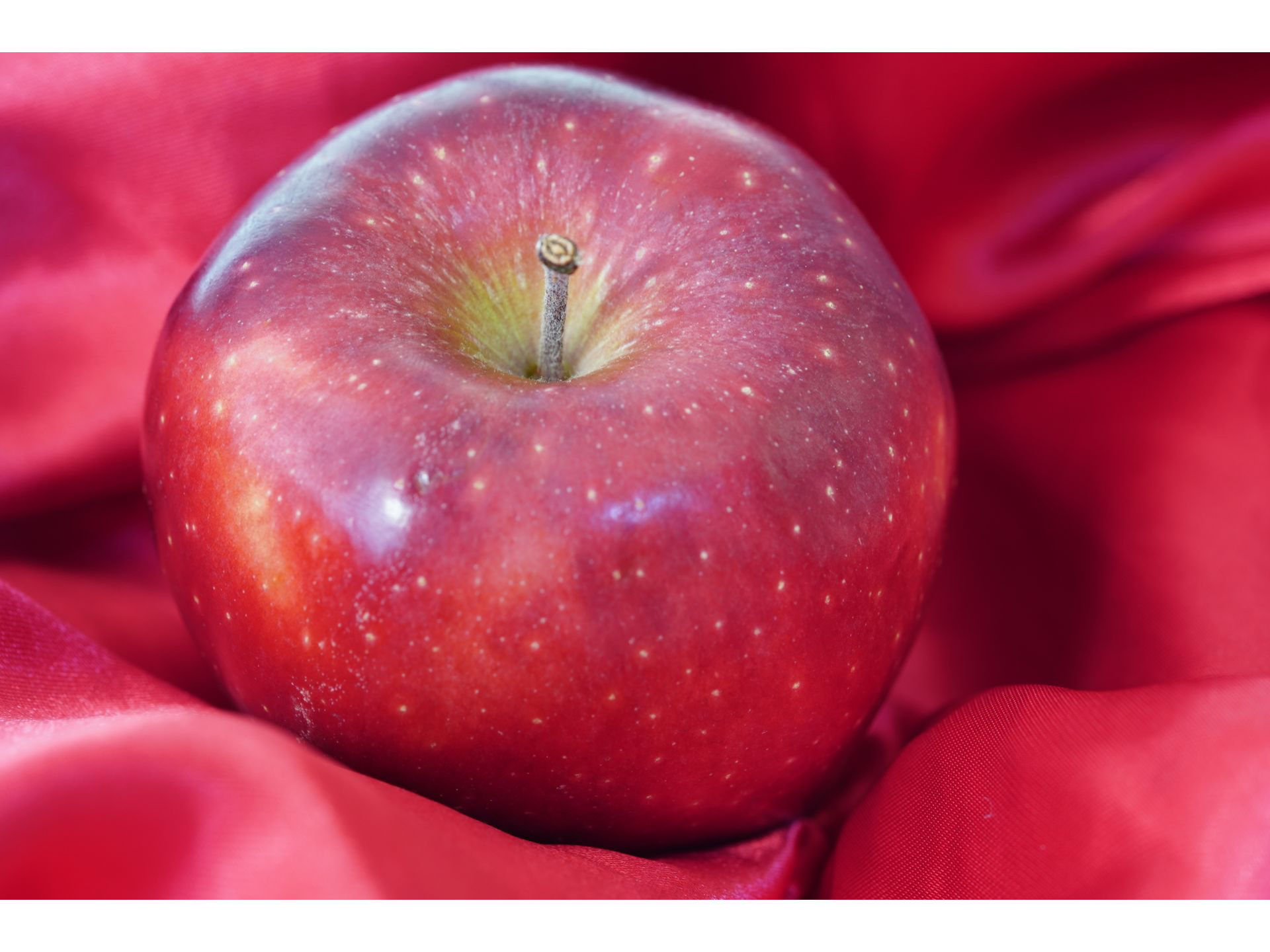 MANZANA  DELI