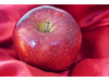 MANZANA DELI