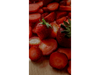 FRUTILLA