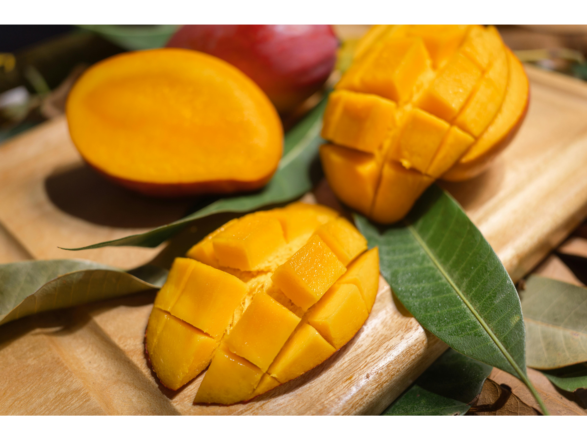MANGO