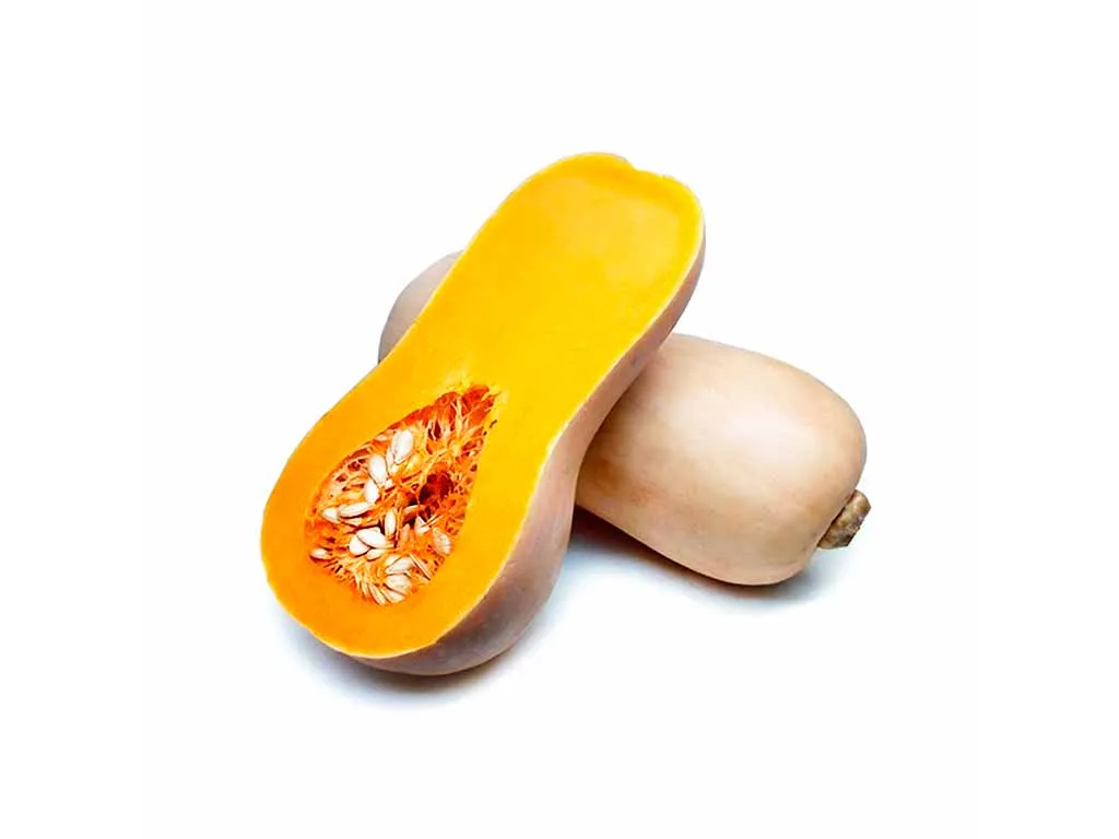 ANCO