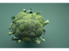 BROCOLI