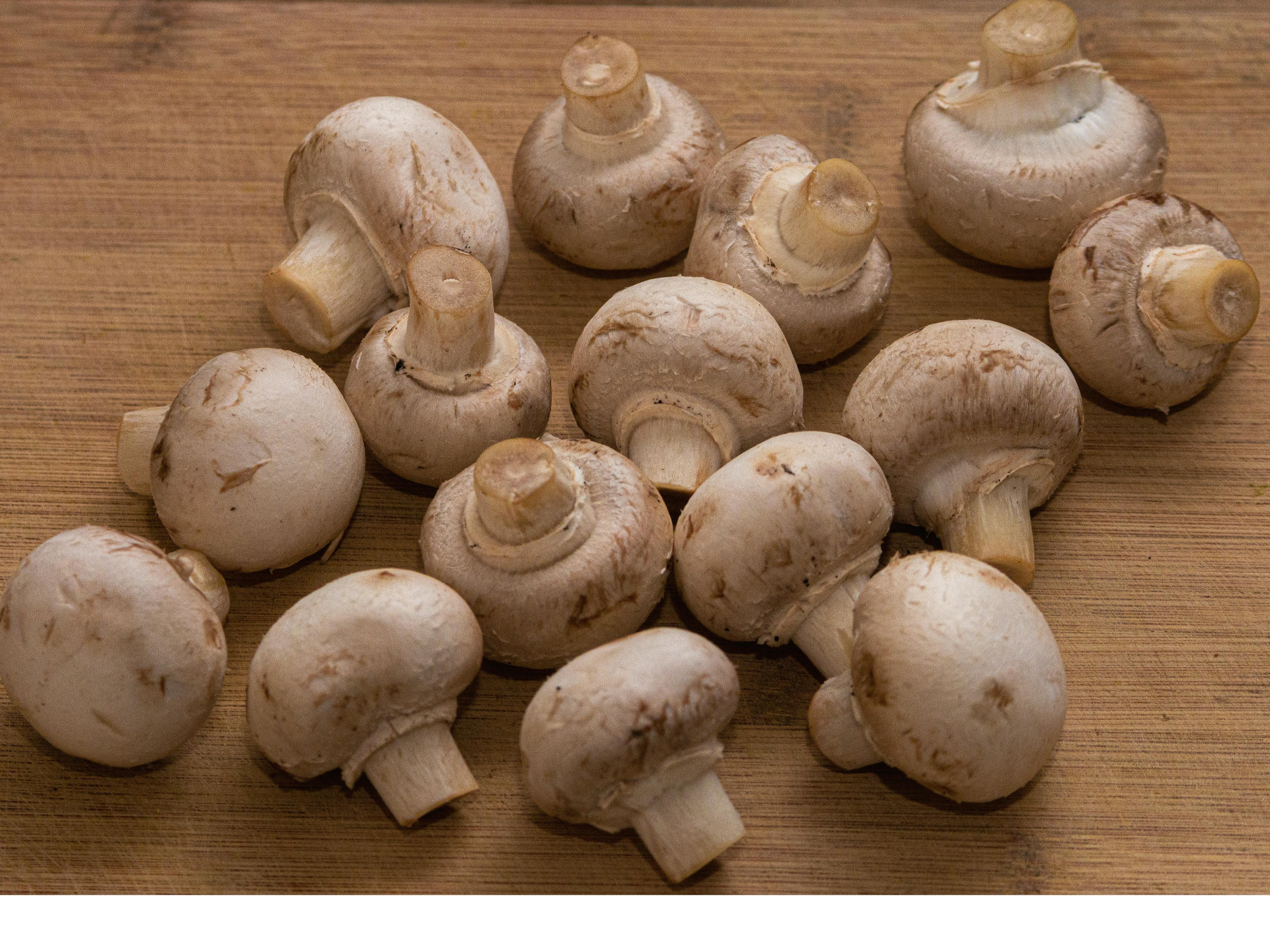 Champiñones