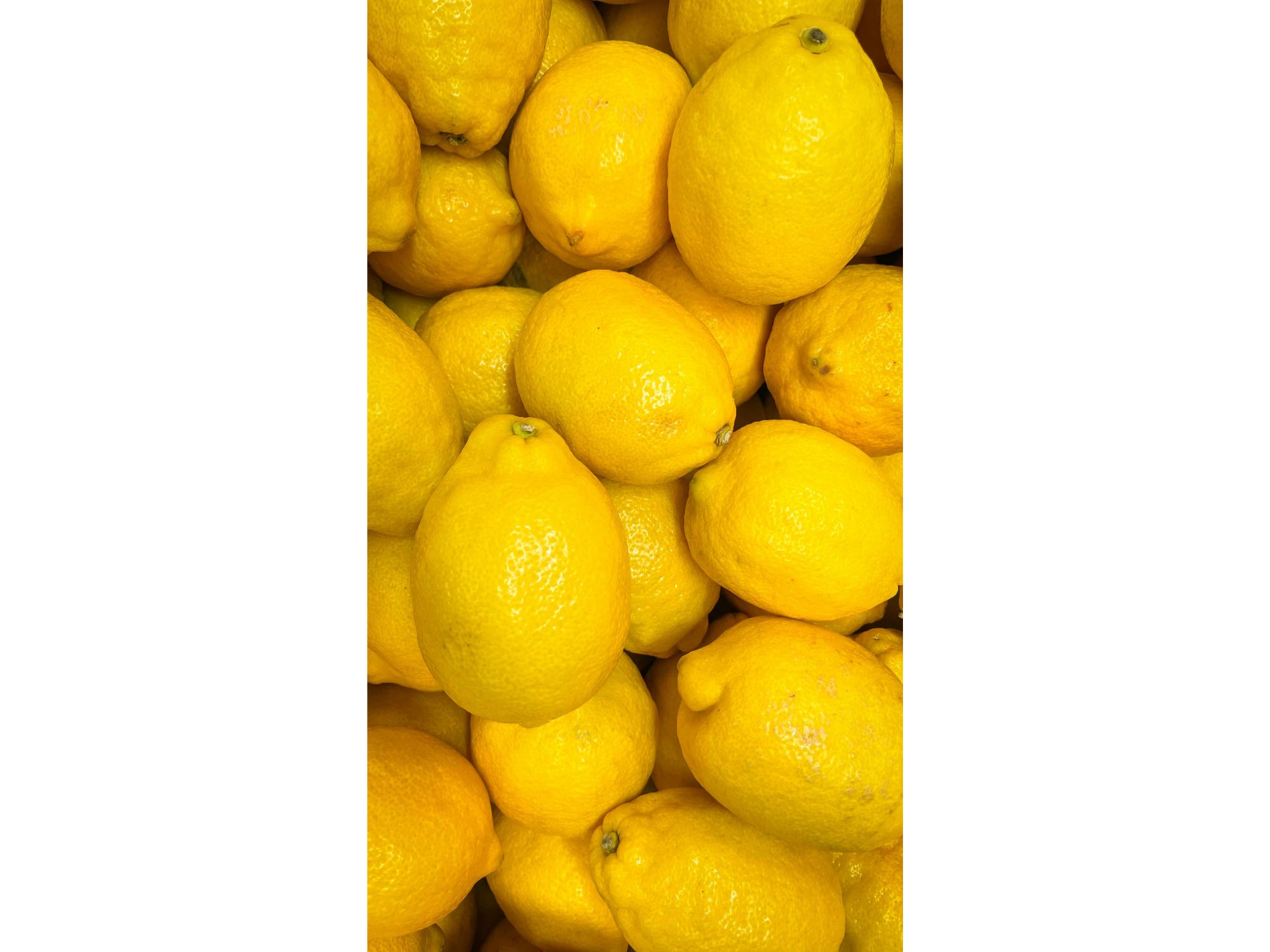 LIMON