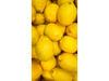 LIMON