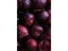 CIRUELA