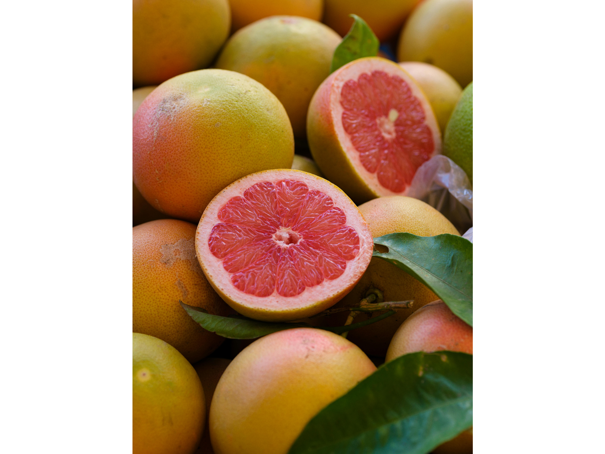 POMELO