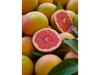 POMELO ROSADO