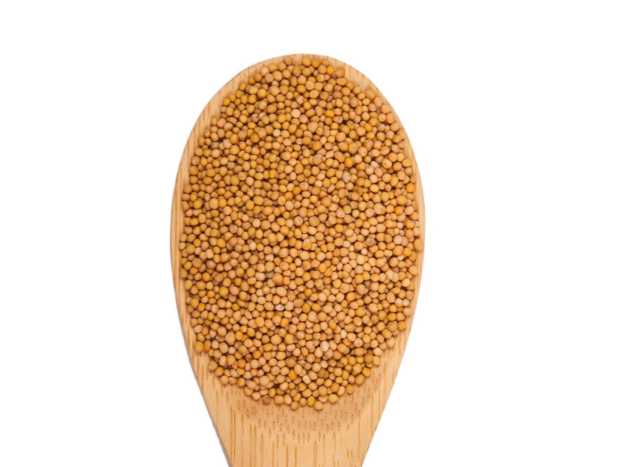 Mostaza en grano