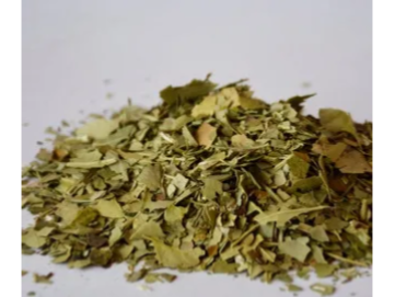 Yerba canchada tipo tereré