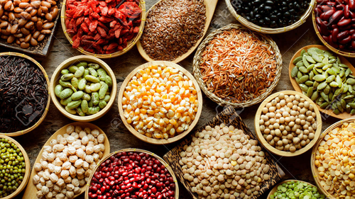 Semillas-Cereales-Legumbres