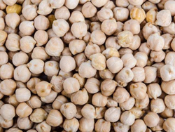 Garbanzos x 100g