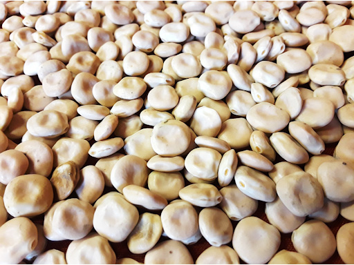 Porotos Lupines x 100g