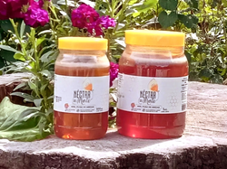 Miel Néctar del Monte