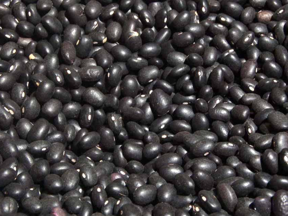 Porotos Negros x 100g
