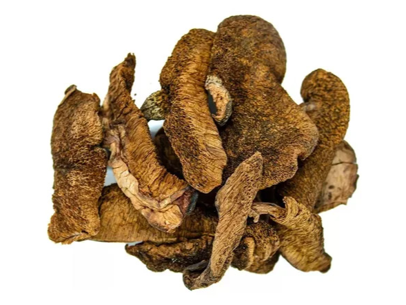 Hongos de Pino x 100g