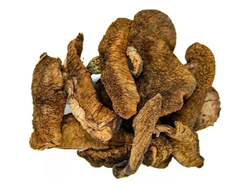 Hongos de Pino x 100g