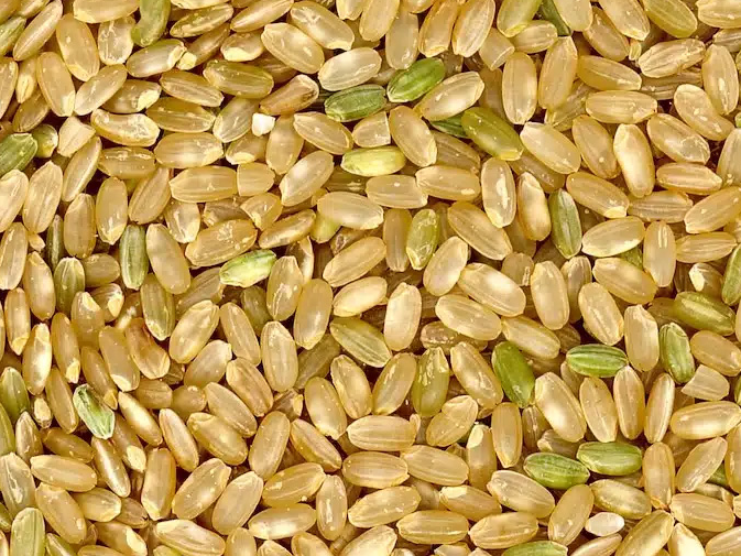 Arroz Yamaní x 100g