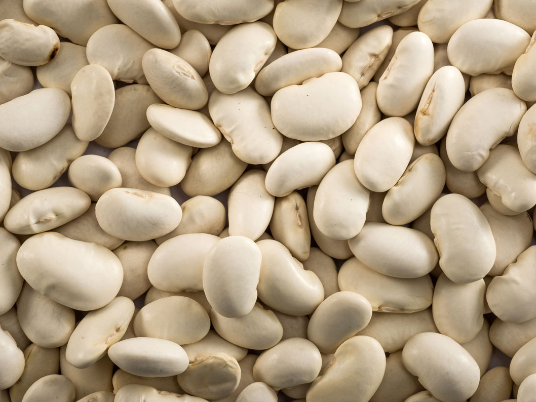 Porotos Pallares x 100g