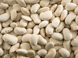 Porotos Pallares x 100g