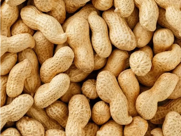 Maní con Cáscara x 100g