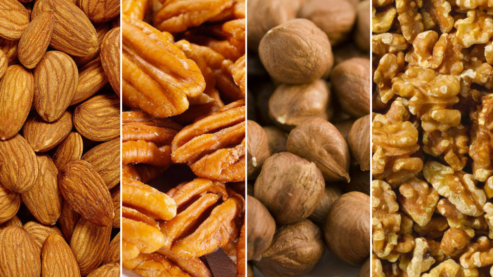 FRUTOS SECOS Y SEMILLAS