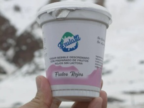 YOGURT FIRMES DESCREMADO, ENDULZADO POR 200 GR